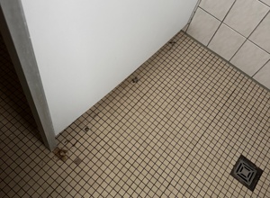 Grundsanierung Naßzelle/Toiletten im Feuerwehrhaus Herlazhofen