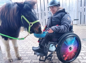 Mit dem Lift aufs Pferd