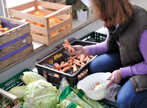 Kühlschrank gegen Lebensmittelverschwendung und für Selbstbestimmung