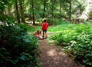 Schutzhütte für unseren Naturkindergarten
