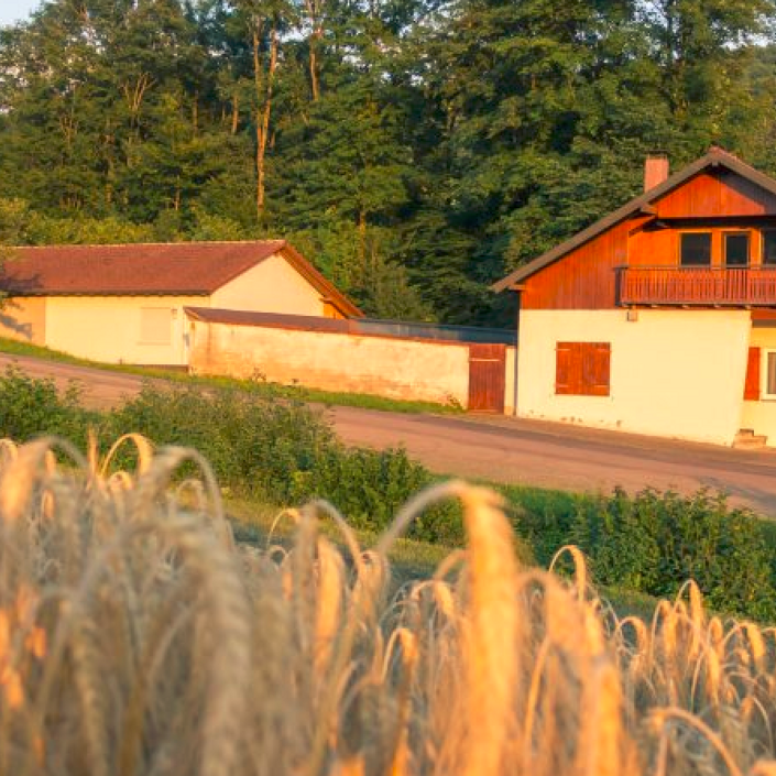 Scatt-Anlage für Jugendabteilung