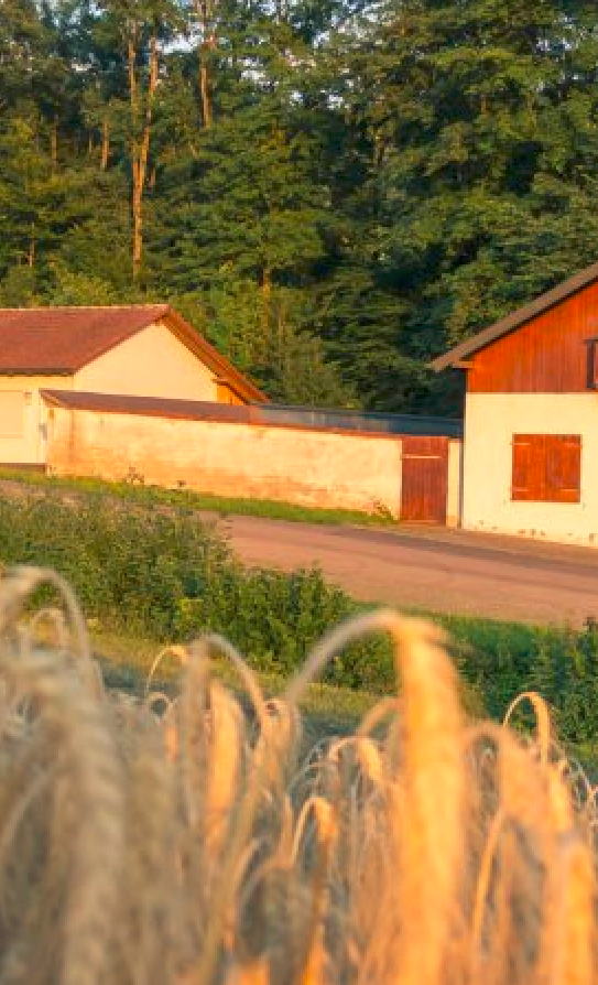 Scatt-Anlage für Jugendabteilung
