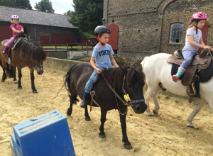 Neuer Reitplatz für den Ponyhof