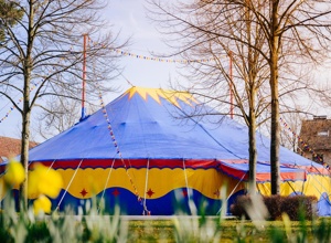 Volksbank: Zirkus macht Schule - für die Grundschule Sachsenhagen