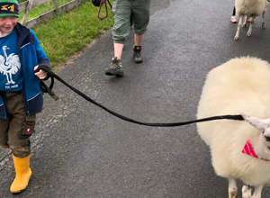 Barrierefreier Trailparcours auf dem Franziskushof der JG in Bigge