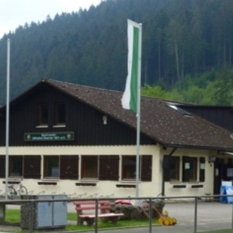 Neue Dachfenster für unser Sportheim