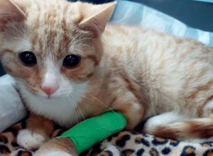 Wenn das Schicksal keine Zeit zum Sparen lässt