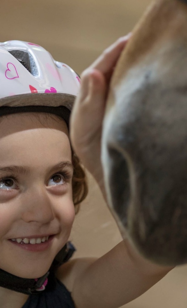Neues Therapiepferd für Kinder mit speziellen Bedürfnissen