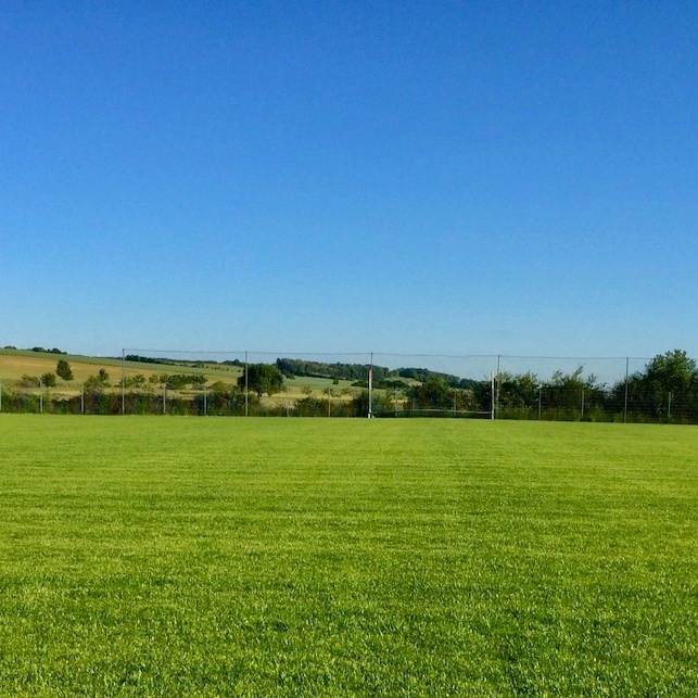 Pflege für unseren Rasenplatz