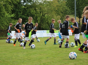 Soccer Field Kammerbach