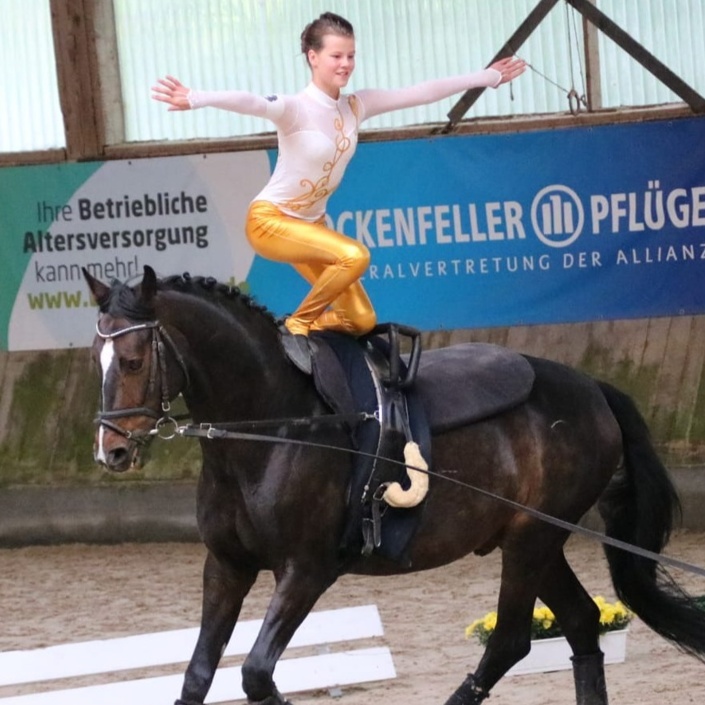 Voltigierpferde für den Voltigier- und Pferdesportverein Cevalo