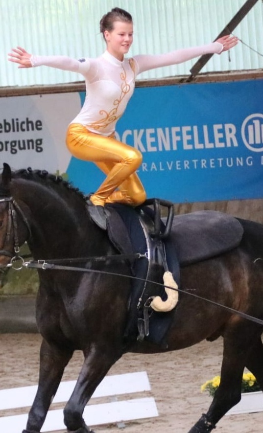 Voltigierpferde für den Voltigier- und Pferdesportverein Cevalo