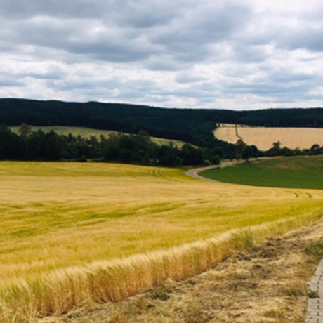Streuobstwiese Lößnitz