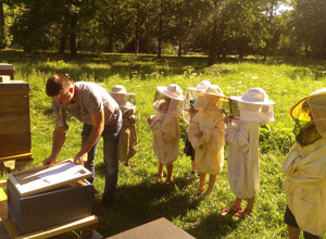 Lehrbienenstand an der Schillerwiese