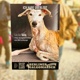 DEIN HUND - SEINE GESCHICHTE - DEIN PLAKAT