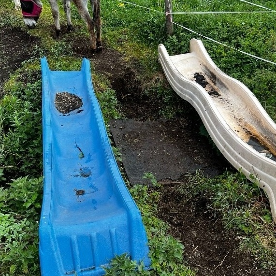 Eine Brücke für unsere Tiere