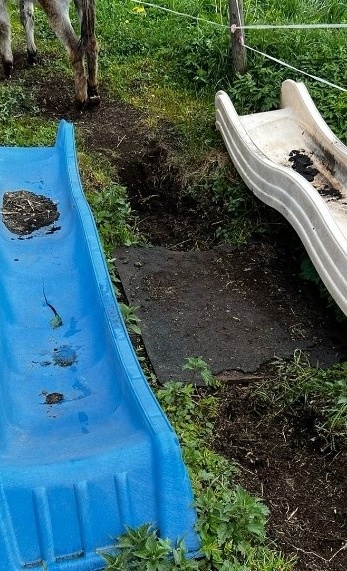 Eine Brücke für unsere Tiere