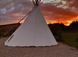 Gründung einer naturpädagogischen Waldgruppe Waldorfkinderhaus Tutzing