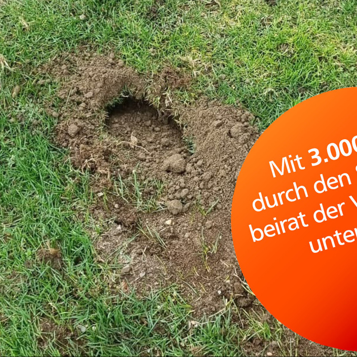 Umzäunung Naturrasen RSH