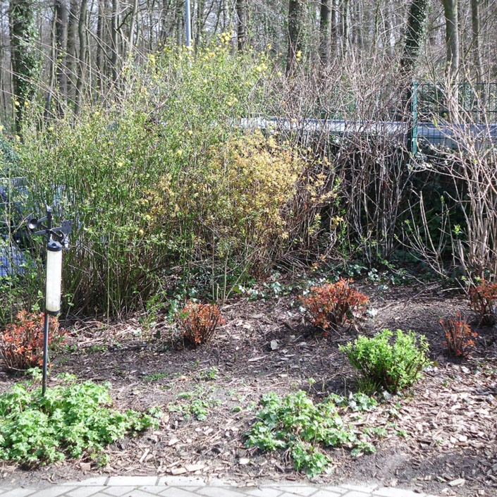 Naturnahe Umgestaltung einer Spielecke im Garten