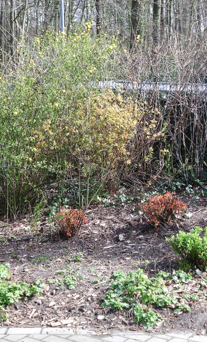 Naturnahe Umgestaltung einer Spielecke im Garten