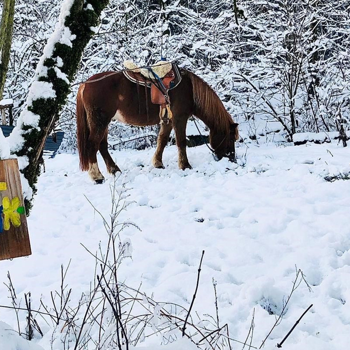Ein warmer Ort für die Reitgruppen