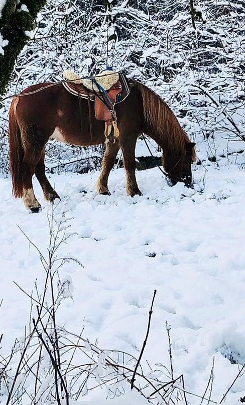 Ein warmer Ort für die Reitgruppen