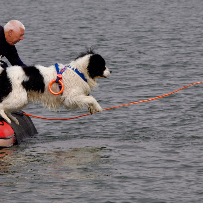 Hunde-Wasserarbeit; mit neuem Motor zu neuen Zielen