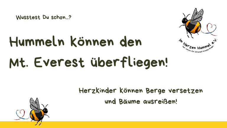 Herzwerkstatt - Das Kinderbuch zur Herz OP