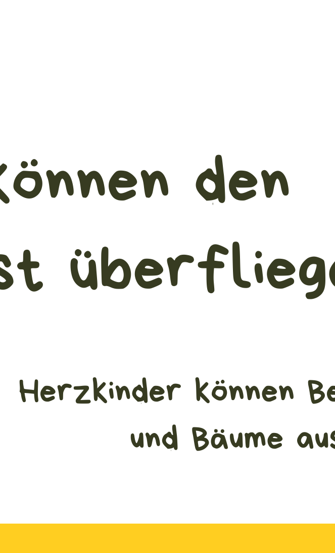 Herzwerkstatt - Das Kinderbuch zur Herz OP