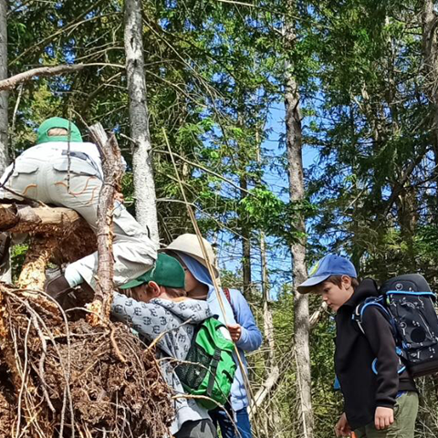 Außenklassenzimmer für die Freie Waldorfschule Linzgau in Ostrach
