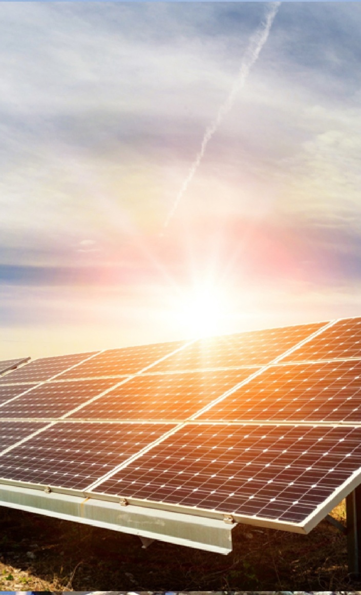 Solaranlage für den Vogelpark Viernheim