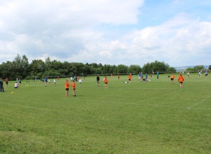 Rasenmäher für Faustballplatz