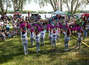 Besser als nix! Festival - Die Crowd macht´s möglich