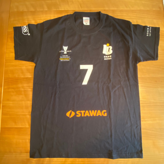 Fanshirt vom Pokalfinale (Halle, 2015)