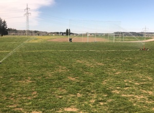 Wasser marsch! Unser sattes Grün für den SV Tannau!