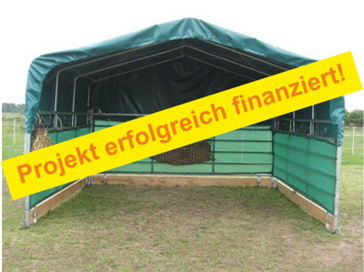Ein Dach für die Kälbchen Ben und Baby-Bull