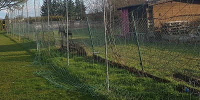 Neugestaltung Trainingsbereich für die Jugend