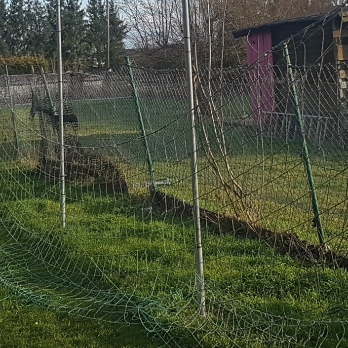 Neugestaltung Trainingsbereich für die Jugend