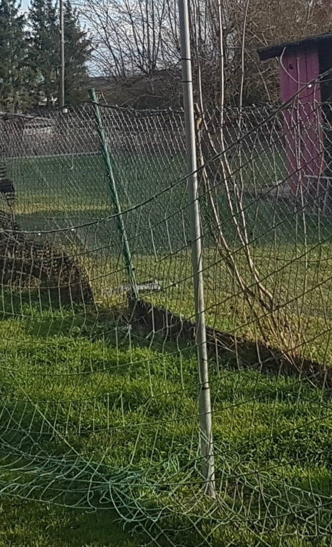 Neugestaltung Trainingsbereich für die Jugend