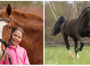 Video - Verstärkung für unser Pferdeteam
