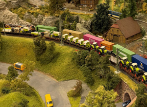 Blühende Landschaften für die Modellbahnfreunde Alsfeld