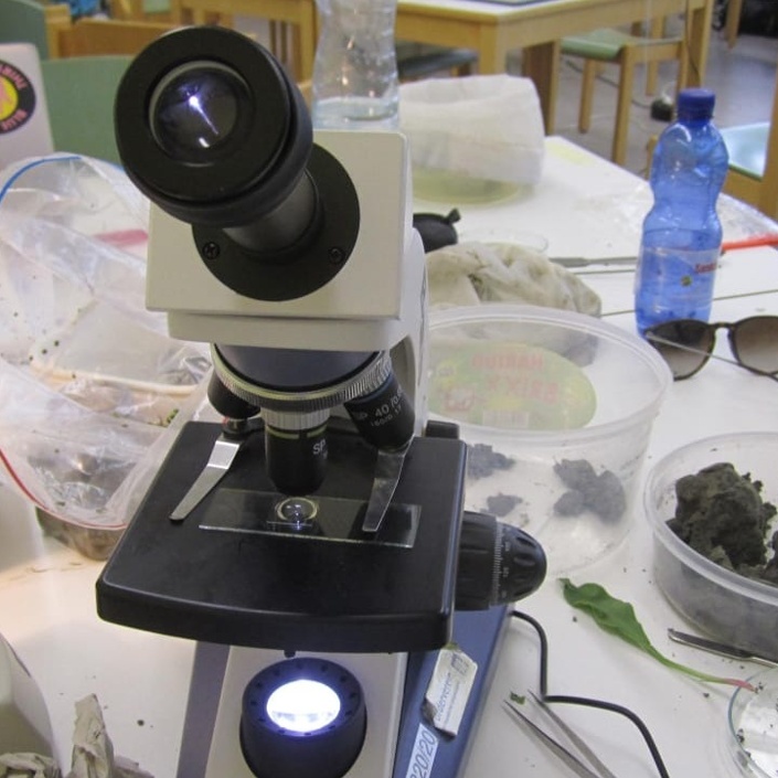 Ökosystem Wattenmeer- Biologie Exkursion des JAG
