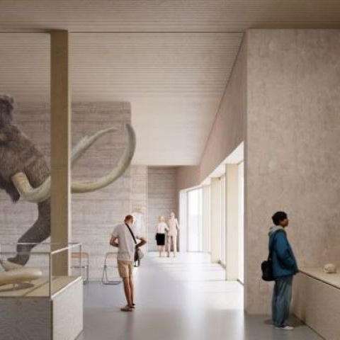 Eine Ausstellungsvision für das neue Urmensch Museum in Mauer