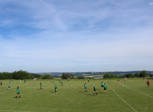 Rasenmäher für Faustballplatz