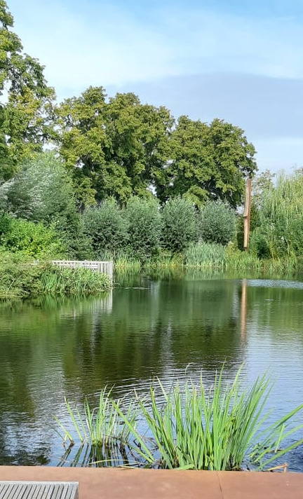 Wasserinstallation für den Asbecker Dorfteich