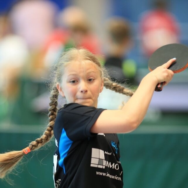 Erneuerung Tischtennistische