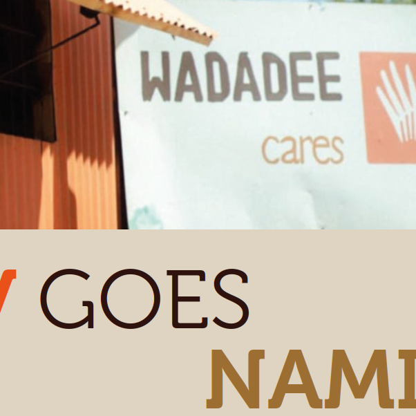 BTVgoesNamibia