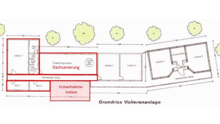 Dachsanierung und Anbau Erstaufnahme-Voliere