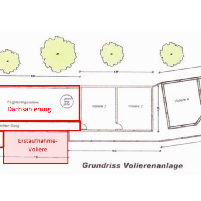 Dachsanierung und Anbau Erstaufnahme-Voliere